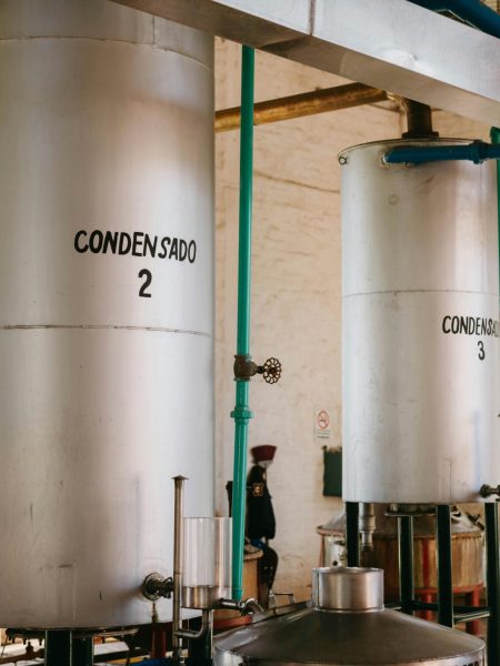 pexels-cristian-rojas-10040001